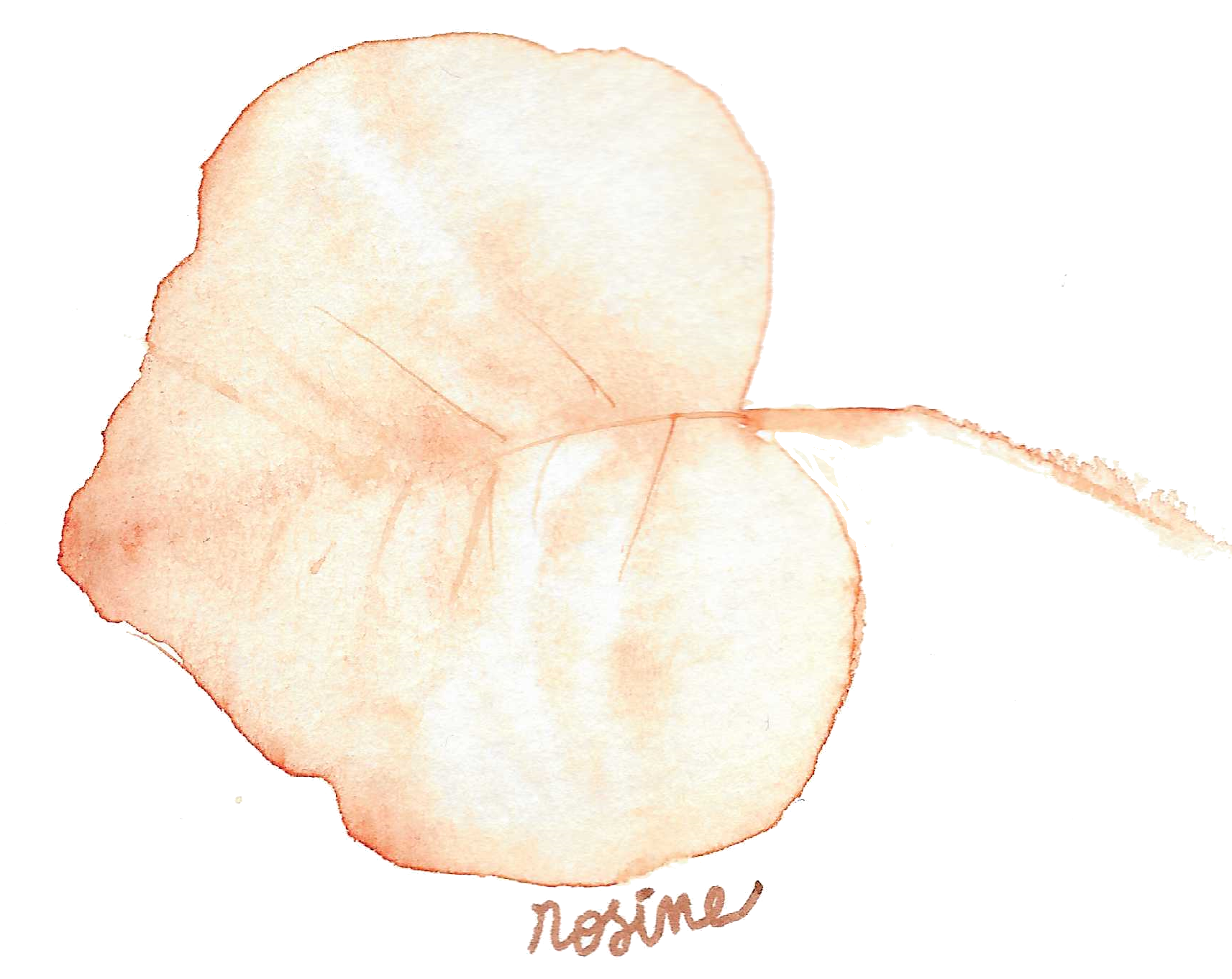 Rosine